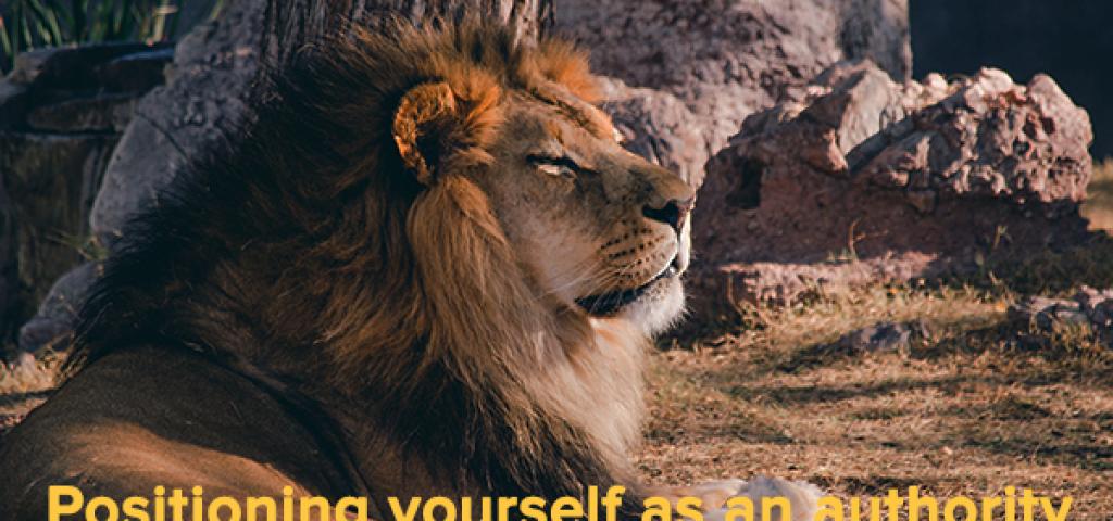 Positioning yourself as an authority via email marketing